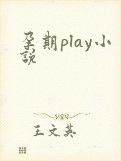 孕期play小说