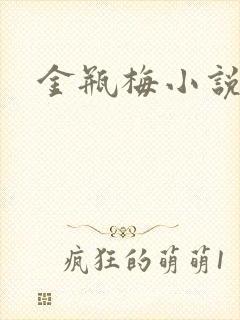 金瓶梅小说下载