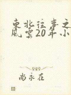 东北往事之黑道风云20年小说