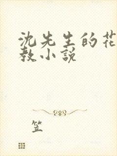 沈先生的花式管教小说