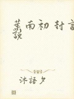 叶南初 封言小说