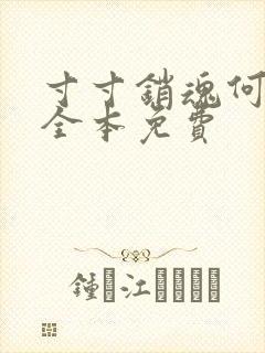 寸寸销魂何生祥全本免费