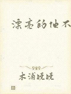 漂亮的他不说话