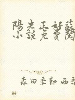 阳光正好苏玥玥小说免费阅读