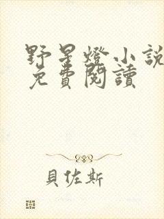 野星灯小说全文免费阅读