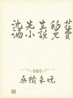 沈先生的花式调酒小说免费阅读