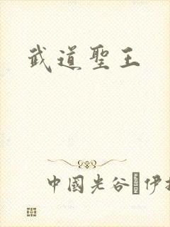 武道圣王
