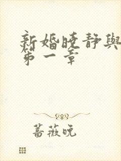 新婚晓静与翁公笫一章