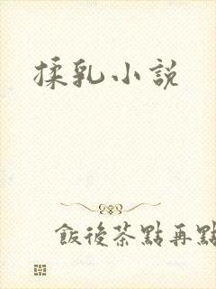 揉乳小说
