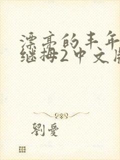 漂亮的丰年经的继拇2中文版