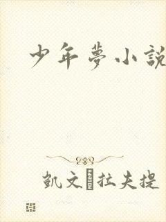 少年梦小说
