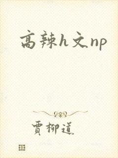 高辣h文np