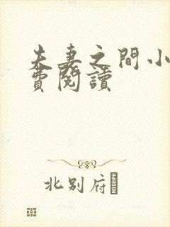 夫妻之间小说免费阅读