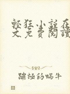 轻狂小说在线全文免费阅读