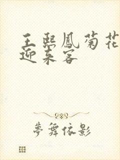 王熙凤菊花门初迎来客