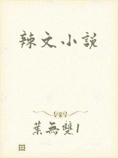 辣文小说