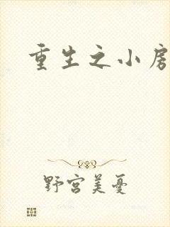 重生之小房东