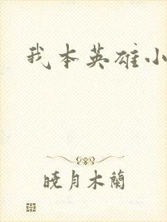 我本英雄小说