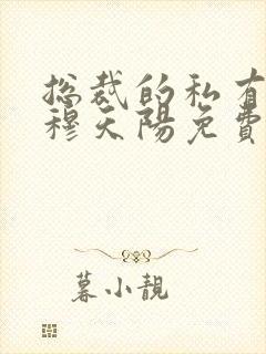 总裁的私有宝贝穆天阳免费