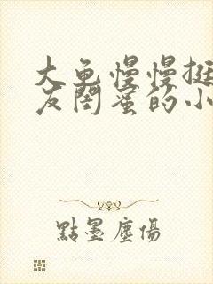 大龟慢慢挺进女友闺蜜的小说