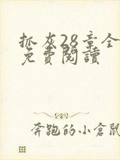 抓灰28章全部免费阅读