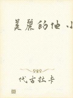美丽的他 小说