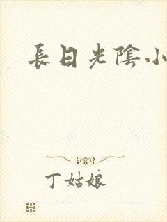 长日光阴小说