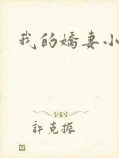 我的娇妻小说