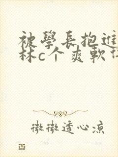 被学长抱进小树林c个爽软件