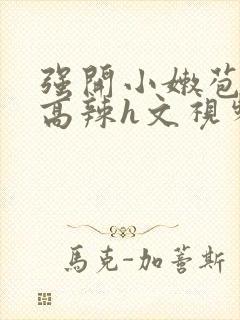 强开小嫩苞h文高辣h文视频