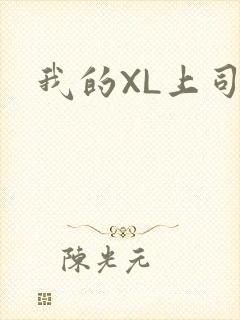 我的XL上司