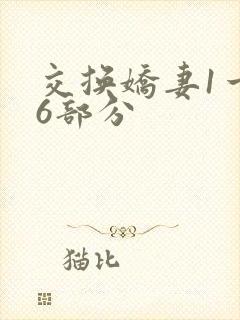 交换娇妻1一36部分