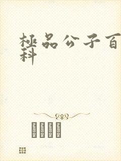 极品公子百度百科