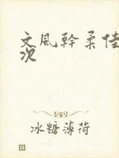 文风干柔佳第一次