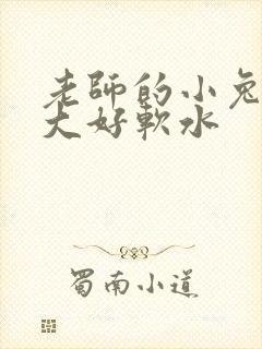 老师的小兔子好大好软水