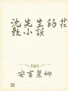 沈先生的花式调教小说