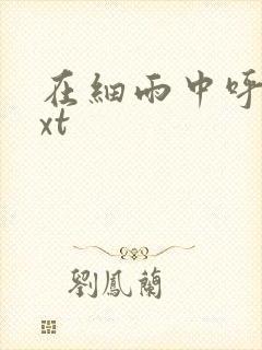 在细雨中呼喊txt