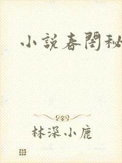 小说春闺秘史