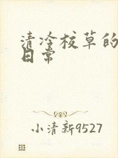 清冷校草的抹布日常