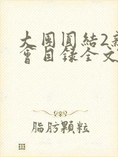 大团圆结2亲情会目录全文阅读视频