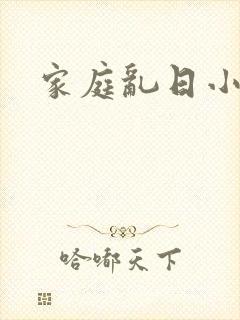 家庭乱日小说