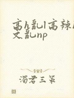 高h乱l高辣h文乱np