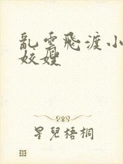 乱云飞渡小说之姣嫂