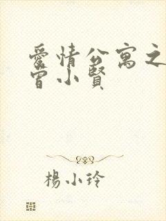 爱情公寓之极品曾小贤