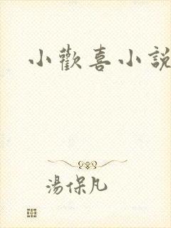 小欢喜小说
