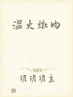 温火炖肉