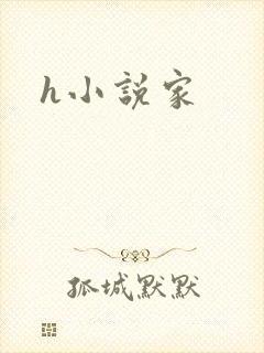 h小说家