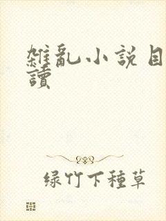 杂乱小说目录阅读