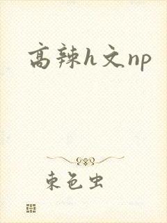 高辣h文np
