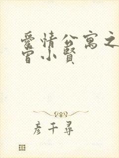 爱情公寓之极品曾小贤